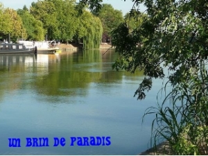 Les bords de Marne